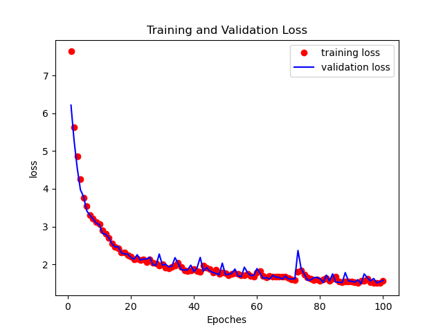 stew_training_validation_loss